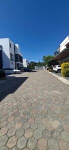 img 7650